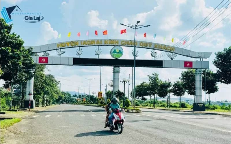 Đất Rẫy Ia Grai: Hướng Đầu Tư Nông Nghiệp Bền Vững